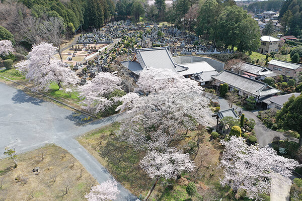 緑豊かな公園墓地