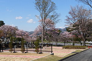 分譲中の墓地は広々とした平地部にあります